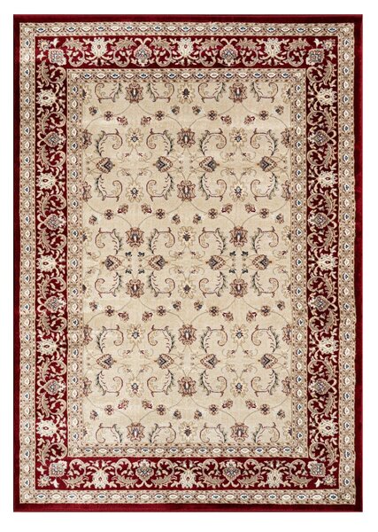 Angel Carpet, Kusový koberec Sultan 21 Red, 60x110, červená, kancelář