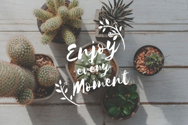 Tapeta s citátem - Enjoy every moment