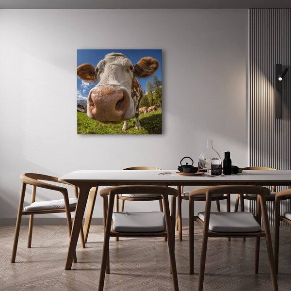Obraz pohled krávy na pastvině