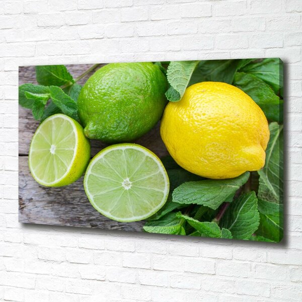 Foto obraz na plátně Limetka a citron oc-81072206
