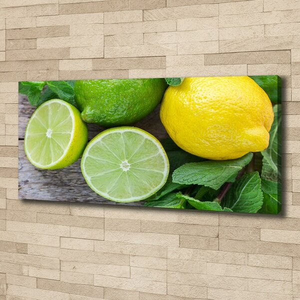 Foto obraz na plátně Limetka a citron oc-81072206
