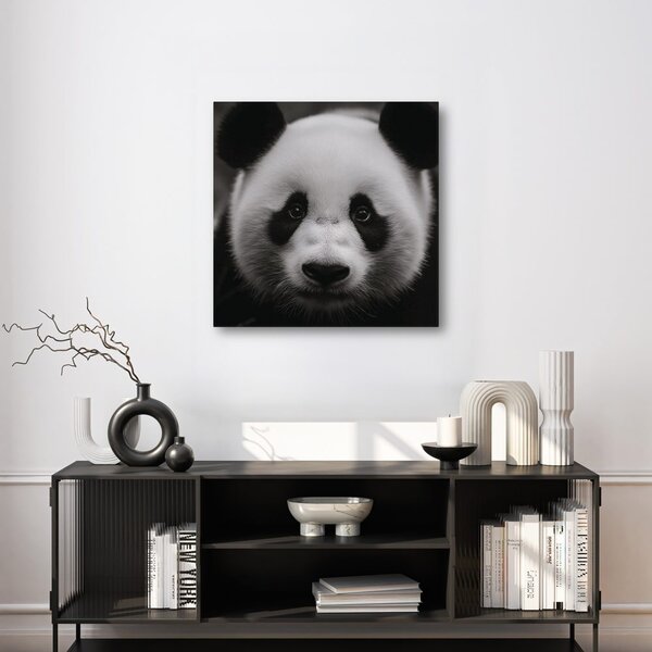 Obraz panda na černém pozadí
