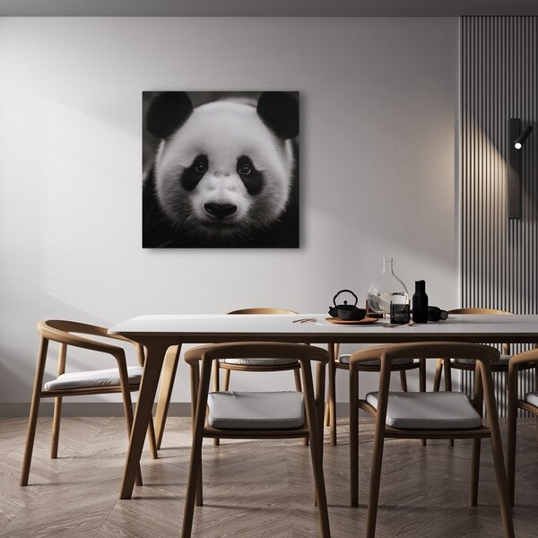 Obraz panda na černém pozadí