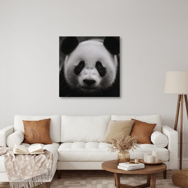 Obraz panda na černém pozadí