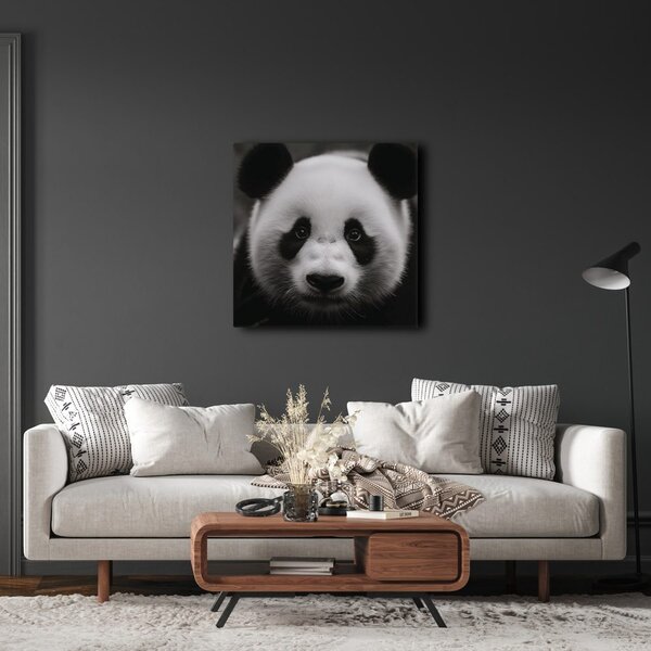Obraz panda na černém pozadí