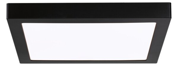 Paulmann 71026 Abia, stropní svítidlo, LED 22W 4000K, černá, 30x30cm