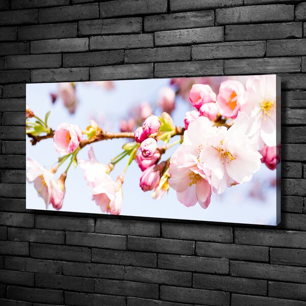 Moderní obraz canvas na rámu Květy višně oc-81280422