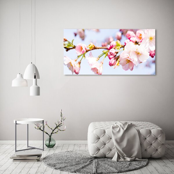Moderní obraz canvas na rámu Květy višně oc-81280422