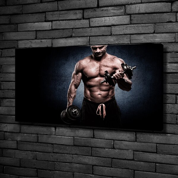 Foto obraz canvas Stavba svalů oc-81396798