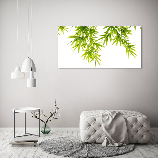 Fotoobraz na skle Listí bambusu osh-81471407