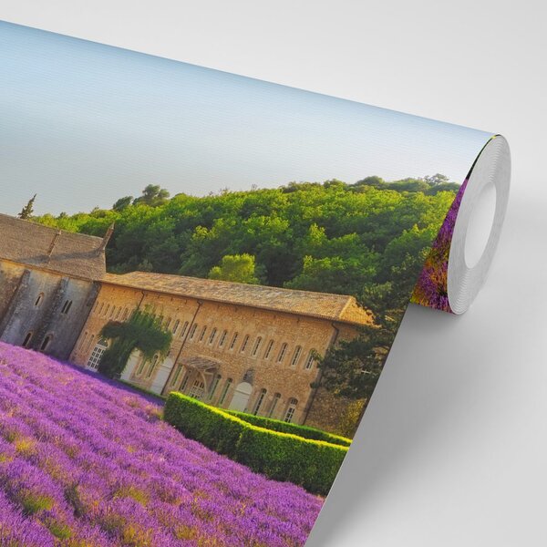 Fototapeta Provensálsko s levandulovými poli