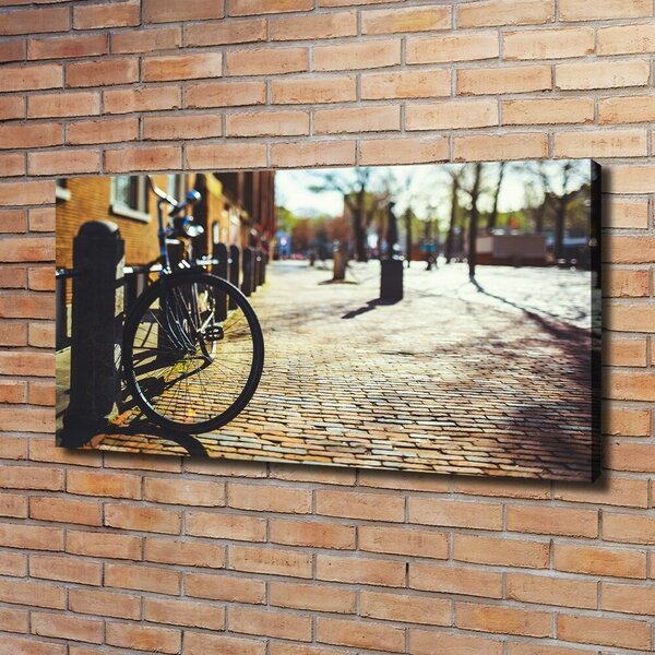 Foto-obraz canvas do obýváku Kolo Amsterdam oc-82036416