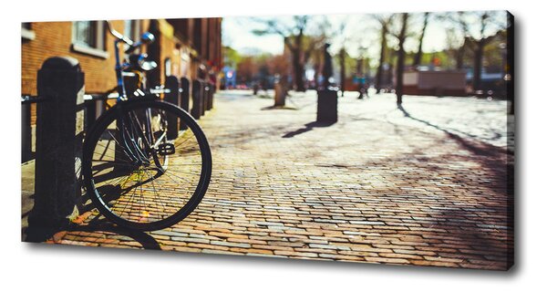 Foto-obraz canvas do obýváku Kolo Amsterdam oc-82036416