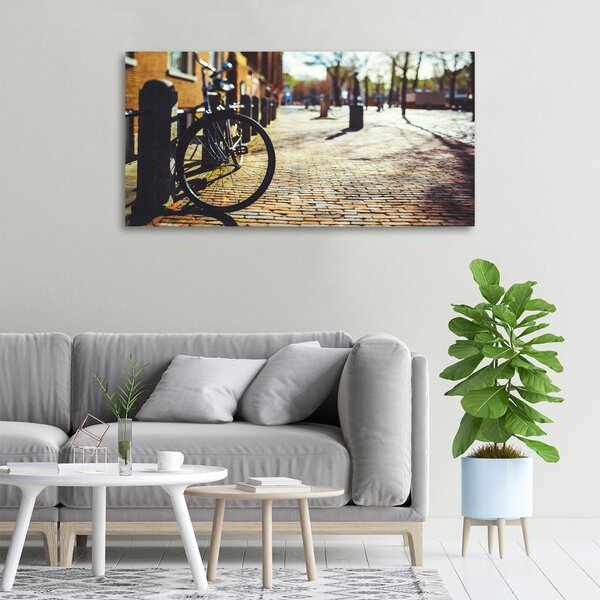 Foto-obraz canvas do obýváku Kolo Amsterdam oc-82036416