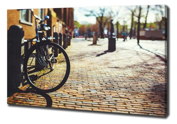 Foto-obraz canvas do obýváku Kolo Amsterdam oc-82036416