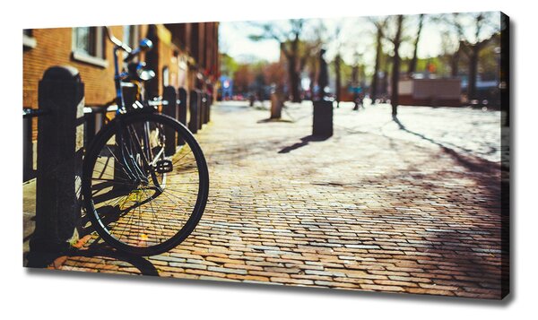 Foto-obraz canvas do obýváku Kolo Amsterdam oc-82036416