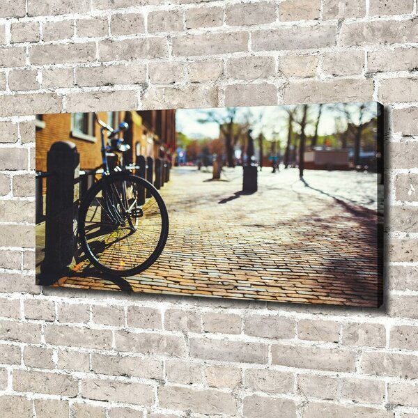 Foto-obraz canvas do obýváku Kolo Amsterdam oc-82036416