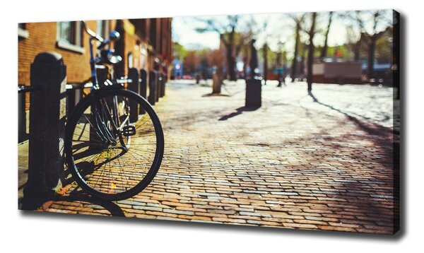 Foto-obraz canvas do obýváku Kolo Amsterdam oc-82036416