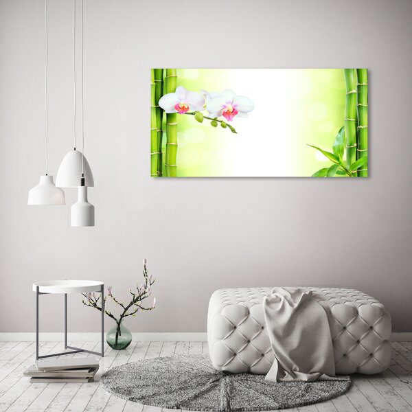 Fotoobraz na skle Orchidej a bambus osh-82165838