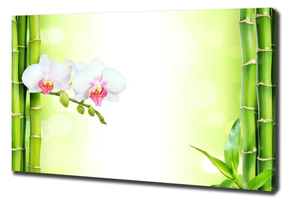 Foto obraz na plátně Orchidej a bambus oc-82165838