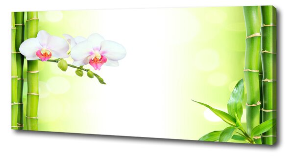 Foto obraz na plátně Orchidej a bambus oc-82165838