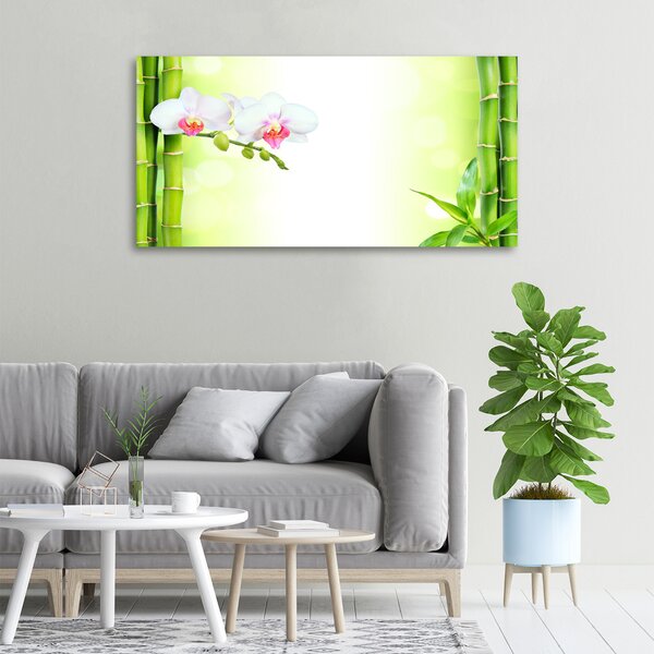 Foto obraz na plátně Orchidej a bambus oc-82165838