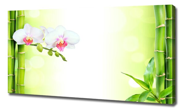 Foto obraz na plátně Orchidej a bambus oc-82165838