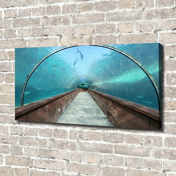 Foto obraz na plátně Tunel akvárium oc-82197217