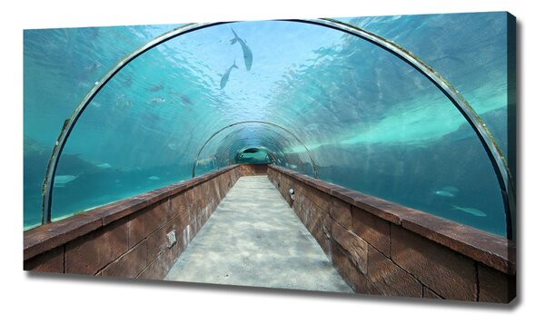 Foto obraz na plátně Tunel akvárium oc-82197217