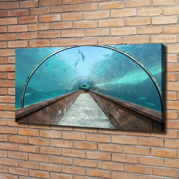 Foto obraz na plátně Tunel akvárium oc-82197217