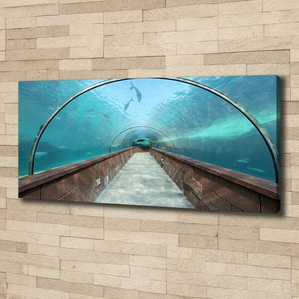 Foto obraz na plátně Tunel akvárium oc-82197217