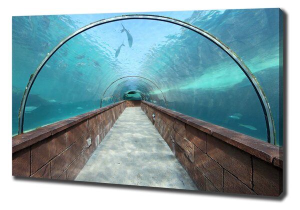 Foto obraz na plátně Tunel akvárium oc-82197217