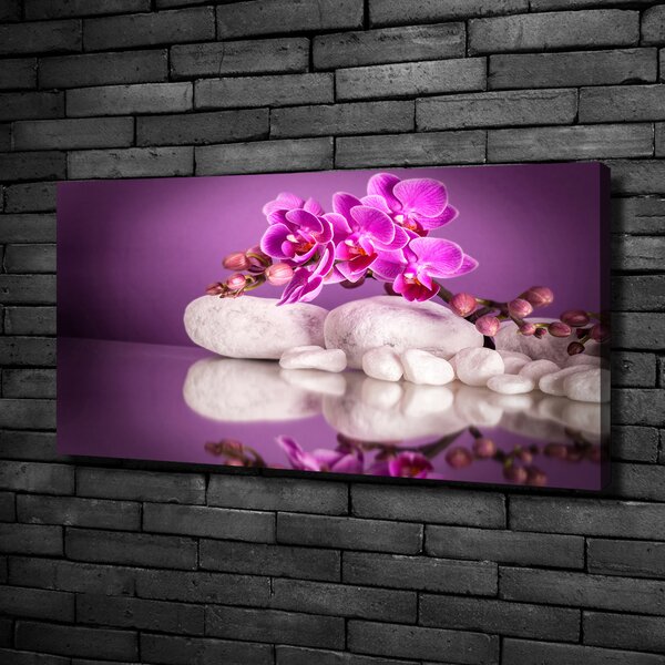 Foto obraz canvas Růžová orchidej oc-82457632