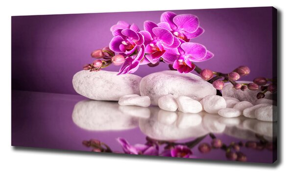 Foto obraz canvas Růžová orchidej oc-82457632