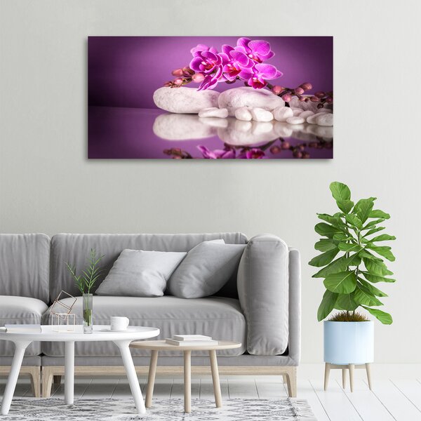 Foto obraz canvas Růžová orchidej oc-82457632
