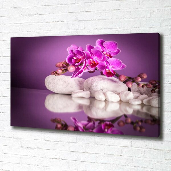 Foto obraz canvas Růžová orchidej oc-82457632
