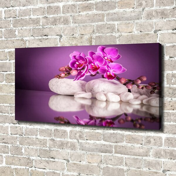 Foto obraz canvas Růžová orchidej oc-82457632