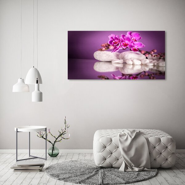 Foto obraz canvas Růžová orchidej oc-82457632