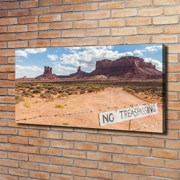 Foto obraz na plátně Arizona USA oc-83587894
