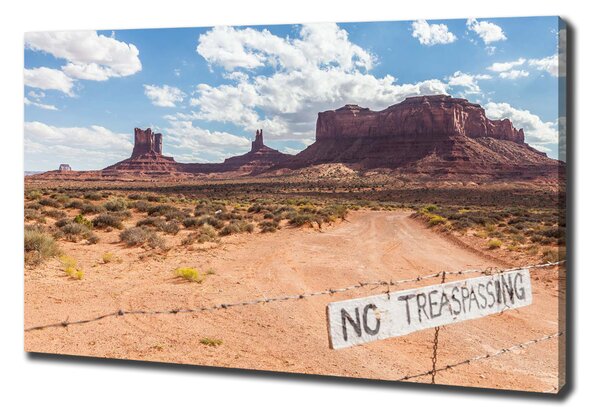 Foto obraz na plátně Arizona USA oc-83587894