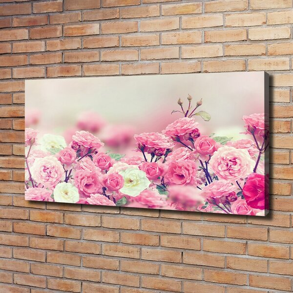 Moderní fotoobraz canvas na rámu Květy divoké růže oc-84071229