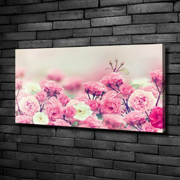 Moderní fotoobraz canvas na rámu Květy divoké růže oc-84071229