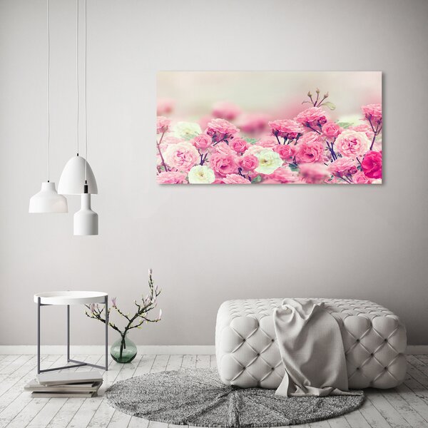 Moderní fotoobraz canvas na rámu Květy divoké růže oc-84071229