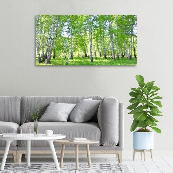 Moderní obraz canvas na rámu Břízy oc-84161268
