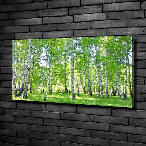 Moderní obraz canvas na rámu Břízy oc-84161268