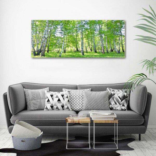 Moderní obraz canvas na rámu Břízy oc-84161268