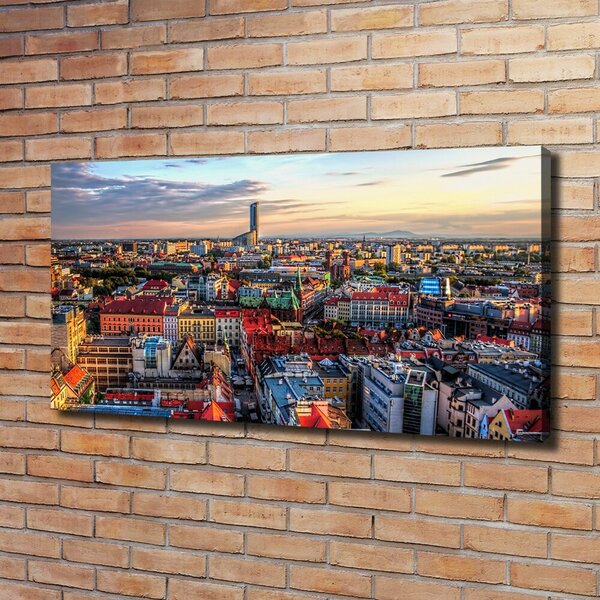 Foto obraz na plátně Panorama Vratislav oc-84243911
