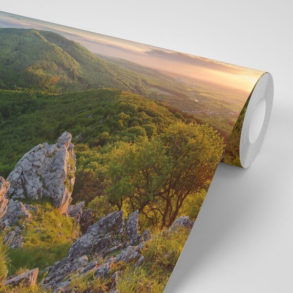 Fototapeta příroda zalitá sluncem
