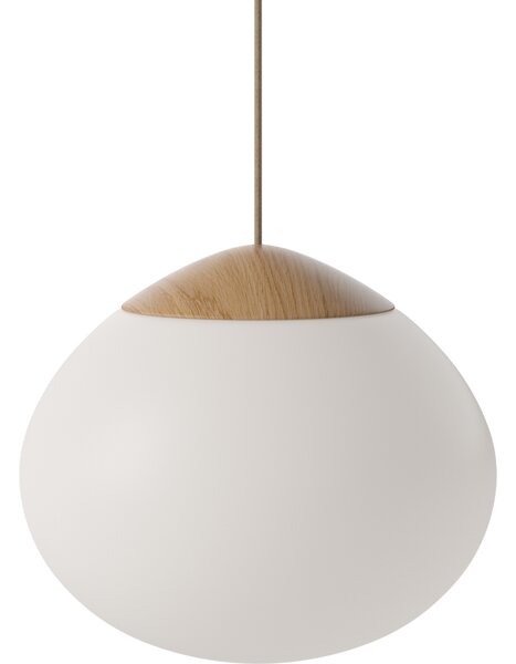 ACORN 32, Povrchy Dub olejovaný Bolia