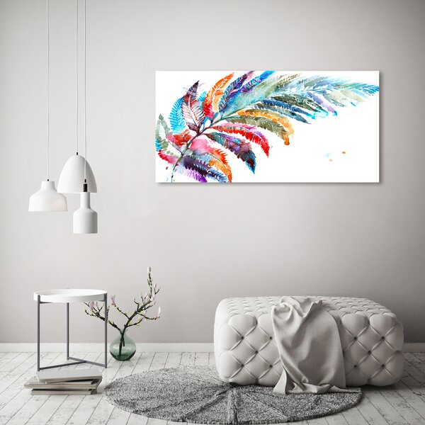 Foto obraz canvas Barevné pírko oc-85090338